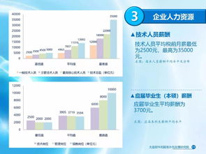 2017年大连软件和信息技术服务业发展报告出炉 信息技术外包服务迎来新机遇